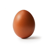 Egg